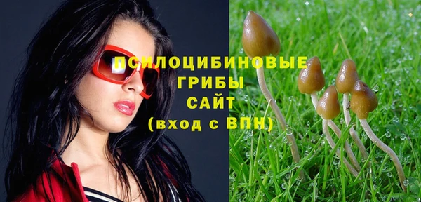 амфетамин Осинники
