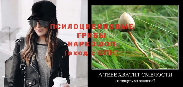 прущая мука Осташков