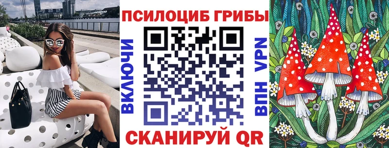 где найти наркотики  даркнет телеграм  Галлюциногенные грибы Psilocybine cubensis  Ленск 